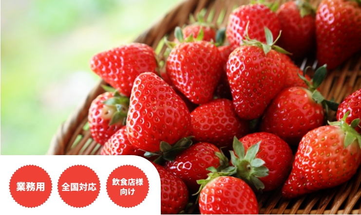 画像：業務用、全国対応、飲食店向け