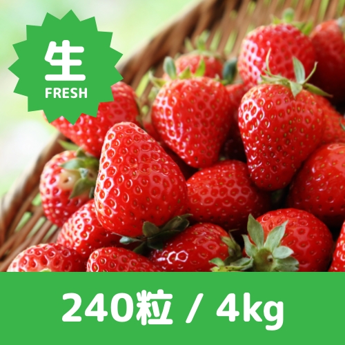 画像：