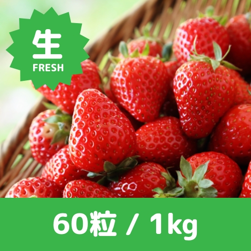 画像：