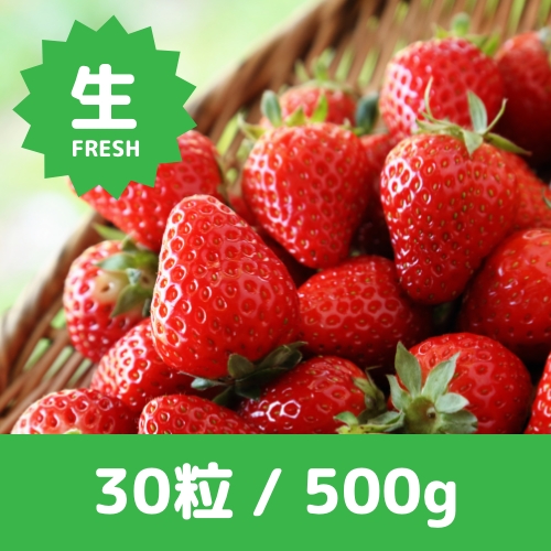 画像：