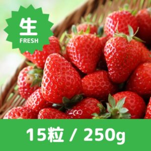 アメリカ産 いちご 約15粒 250g