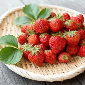 広島県産 いちご 40粒 Lサイズ（20粒入り✕2パック）